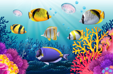 Fish swimming under the sea