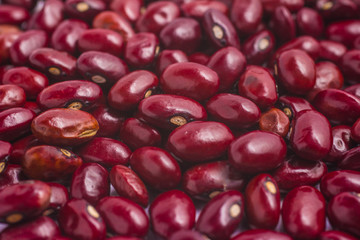 Close-up of brazilian red beans.