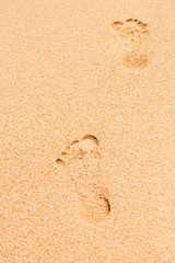 Fototapeta na wymiar Footprints in the sand vertical