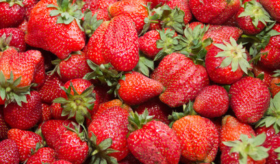 Fresh ripe perfect strawberry - Food Frame Background