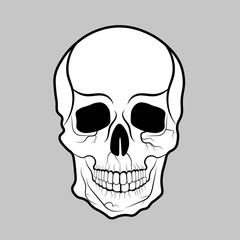 skull