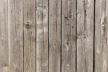 Naklejka premium The old wood texture with natural patterns