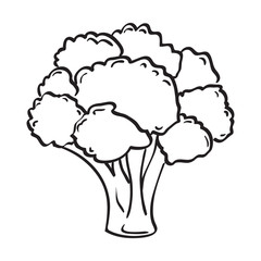 Atristic hand drawn vector illustration of broccoli