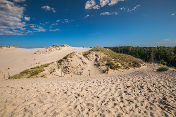 Fototapeta na wymiar Desert landscape, Slowinski National Park near Leba, Poland