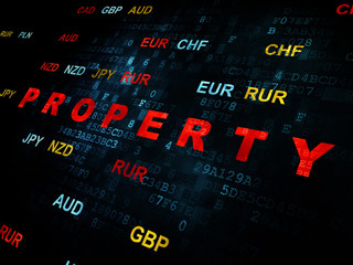 Fototapeta premium Business concept: Property on Digital background