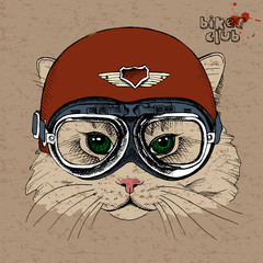 Portrait of a cat in a retro helmet. Vector illustration.