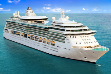 Luxury Cruise Ship Sailing to Port