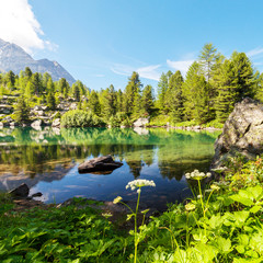 Lago Viola - Val di Campo - Poschiavo - Svizzera