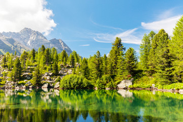 Lago Viola - Val di Campo - Poschiavo - Svizzera