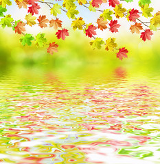 Obraz na płótnie Canvas Autumn landscape. Beautiful leaves. Colorful trees