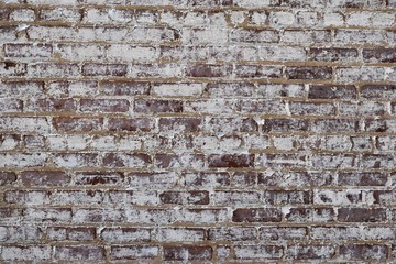 Old Brick Wall Backdrop