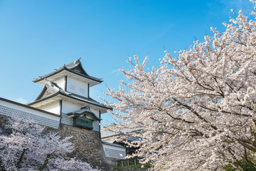 金沢城春景色