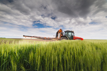 Tractor spraying wheat field