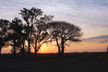 Fototapeta na wymiar landscape sunset with the sun illumining 