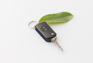 close up of car key and green leaf