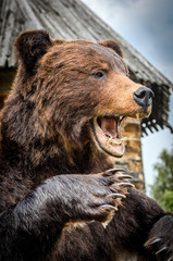 Fototapeta premium SUZDAL, RUSSIA - JULY 16, 2016: Feast of cucumber in Suzdal, brown bear