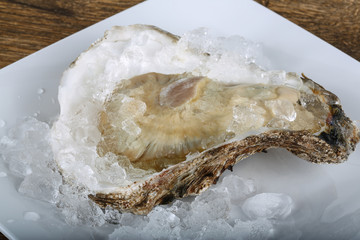 Fresh raw oyster