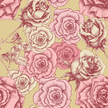 Vintage pink roses pattern. Floral print