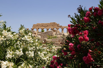 selinunte (templi)