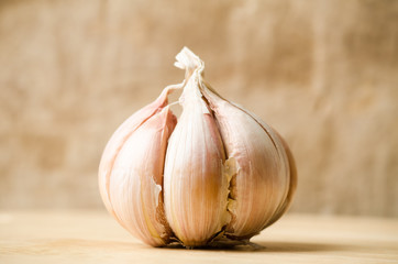 Garlic