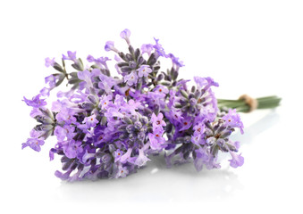 Fototapeta premium Bouquet of lavender flowers on light background