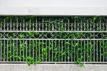 there are the plant pattern. It is good background.
