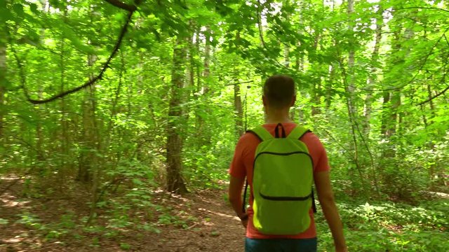 Man with green backpack hiking in summer sunny forest. 4K steadicam shot