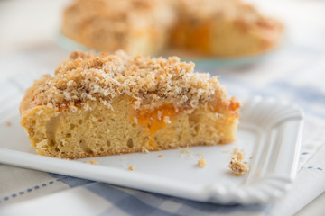 Aprikosen Streusel Kuchen 