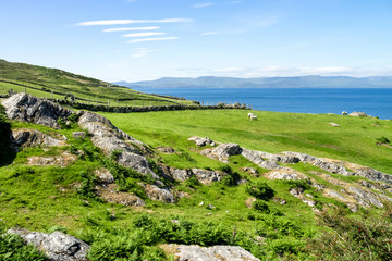 Fototapeta na wymiar Irland - Ring of Beara