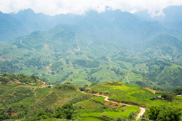 Fototapeta na wymiar Agriculture Green Rice fields and rice terraced on mountain at SAPA, Lao Cai, Mu Cang Chai, Vietnam. The most of area is rice terraced. nature and landscape rice fields