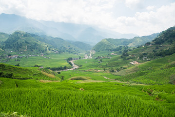Agriculture Green Rice fields and rice terraced on mountain at SAPA, Lao Cai, Mu Cang Chai, Vietnam. The most of area is rice terraced. nature and landscape rice fields
