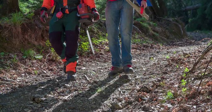 Two loggers are walking down a forest path and suddenly, they stop. They look up to the treetops and they discuss something. Close-up shot of their lower body. One of the men is holding a chainsaw.
