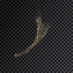 splash gold 3d transparent background