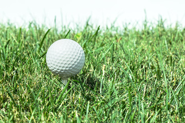 Golf ball ready to be hit on the green grass.