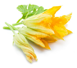 Fototapeta premium Zucchini flowers on a white background.