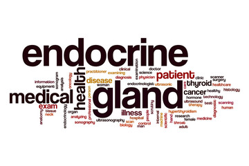 Endocrine gland word cloud concept