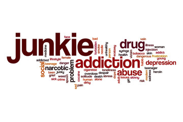 Junkie word cloud concept