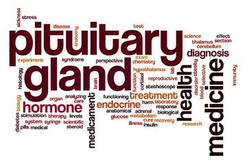 Pituitary gland word cloud concept