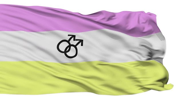 Twink Pride Flag, Close Up Realistic 3D Animation, Seamless Loop - 10 Seconds Long