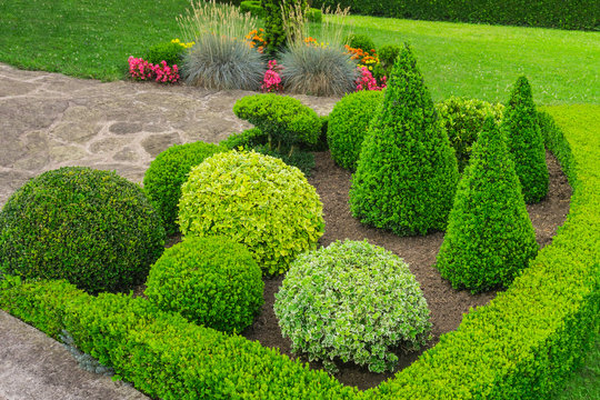 Kleiner Ziergarten mit kugelförmig und kegelförmig geschnittenen Büschen - Small ornamental garden with spherical and cone shaped bushes