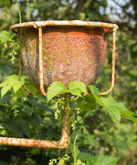 garden clay terracotta pot, on an iron stand, on a background of green leaves , on a Sunny day