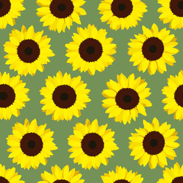 Colorful yellow sunflowers. Seamless pattern. Floral background. End of summer. Vegetarian and vegan product. harvest time. For wallpaper, decoration or printing on fabric.