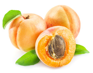 Apricots and its cross-section on the white background.