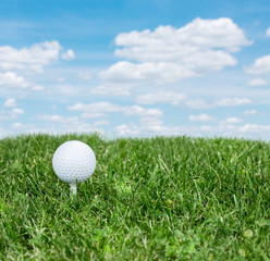 Golf ball ready to be hit on the green grass.