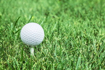 Golf ball ready to be hit on the green grass.