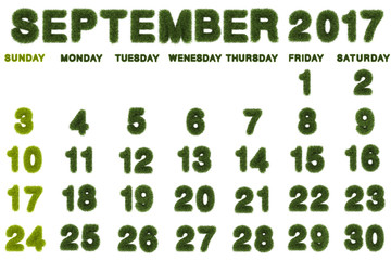 Calendar for September 2017 on white background,3d rendering green grass