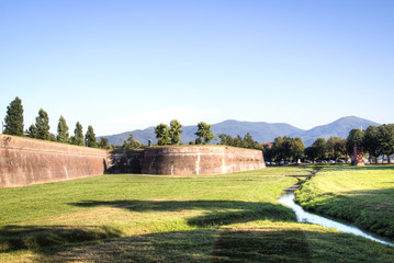 Historic city walls of Lucca, a city in Toscana in Italy
 - obrazy, fototapety, plakaty