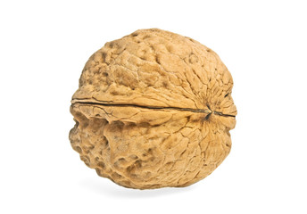 Single walnut isolated on a white background