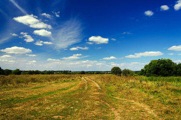 Fototapeta premium Landscape with dirt road in the countryside