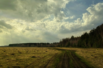Obraz premium Dirt road along the forest spring